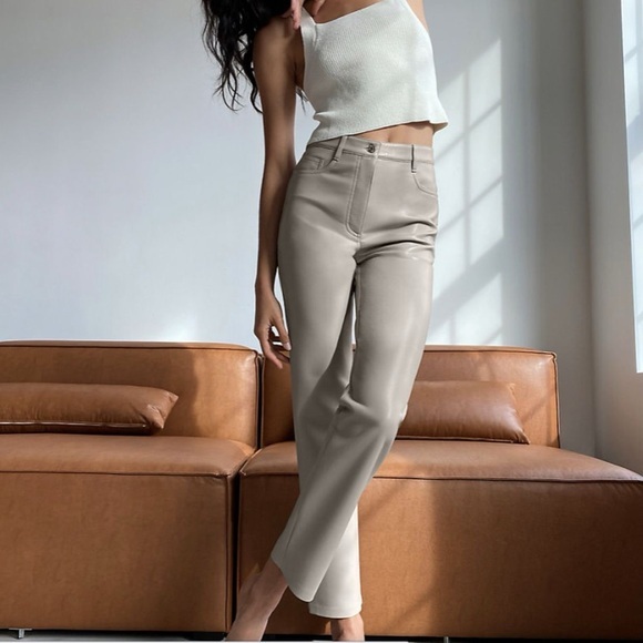 Aritzia the Melinda pant - Picture 1 of 4
